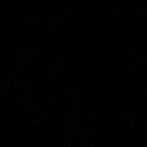 Meet your Posher, Shanti